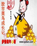 股市菜鸟成长记